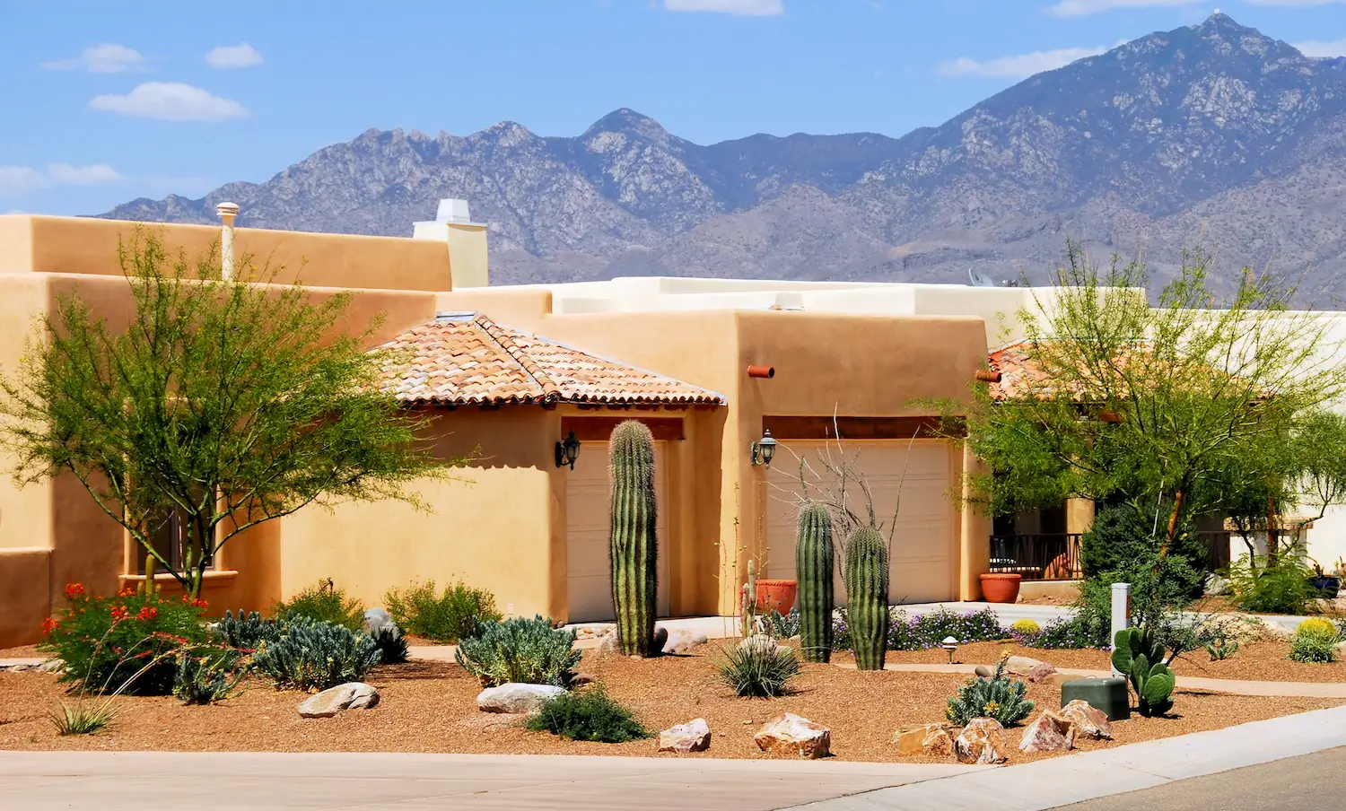 Surprise HOA Management